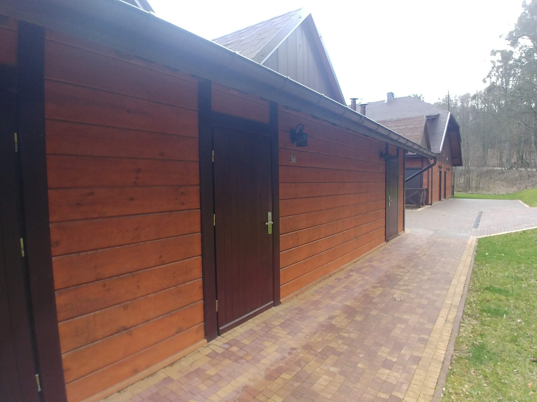 Gorzno旅游攻略图片