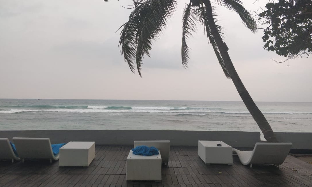 哈密瓜水族主图