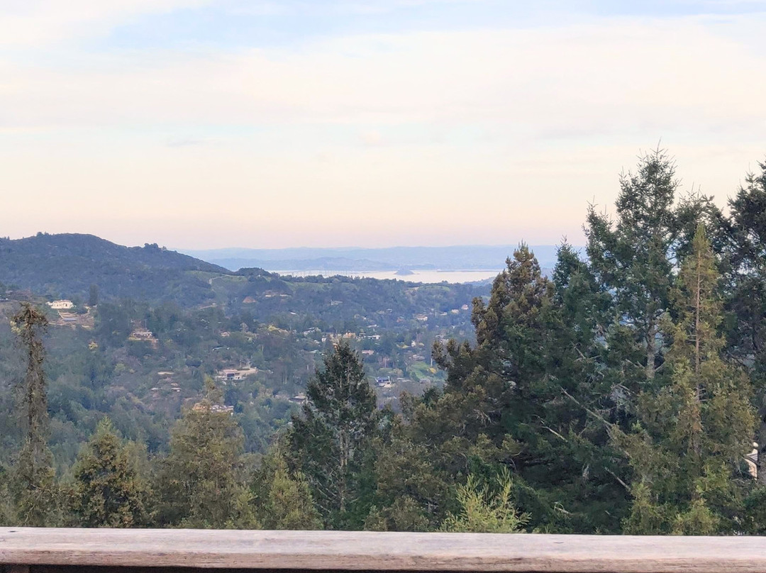 Mountain Home Inn主图