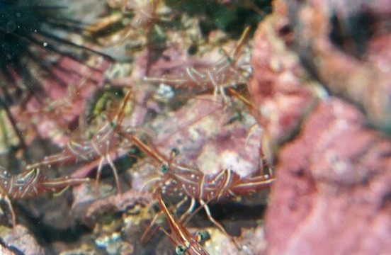 Khao Lak Fun Diver-拉克山必去景点