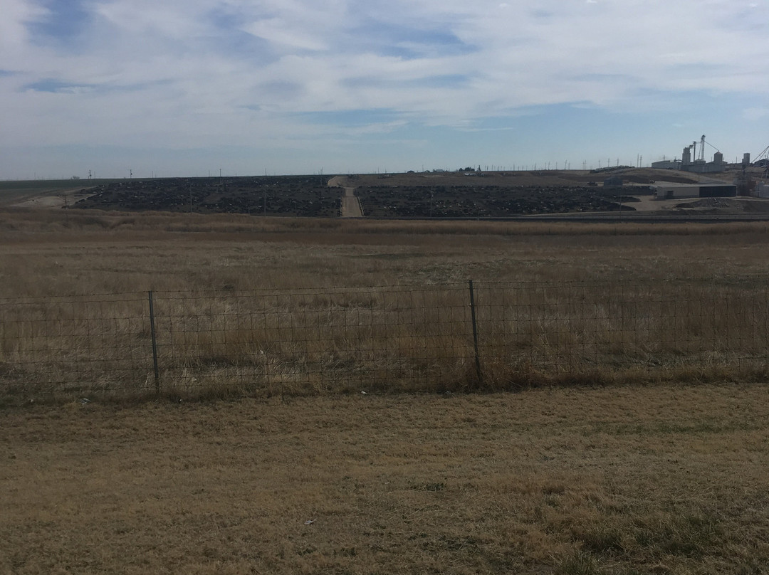 Cattle Feedlot Overlook-道奇城必去景点