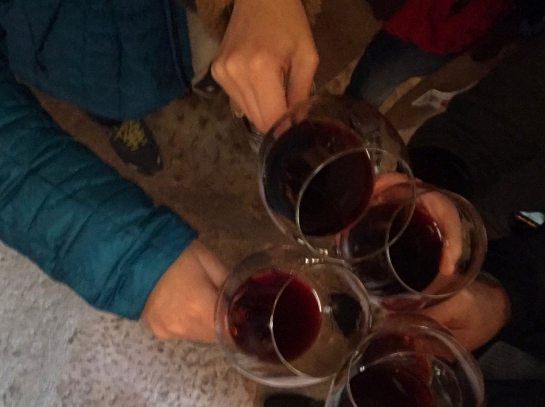 Bodegas del Real Cortijo-Cortijo de San Isidro必去景点