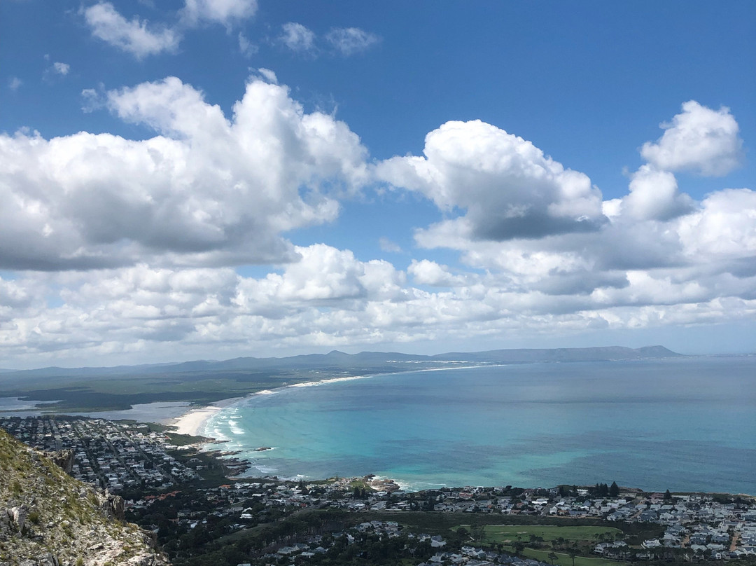 SA Forest Adventures-康士坦提亚必去景点