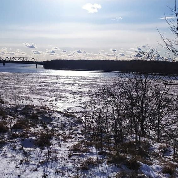 Volkhovsky District旅游攻略图片