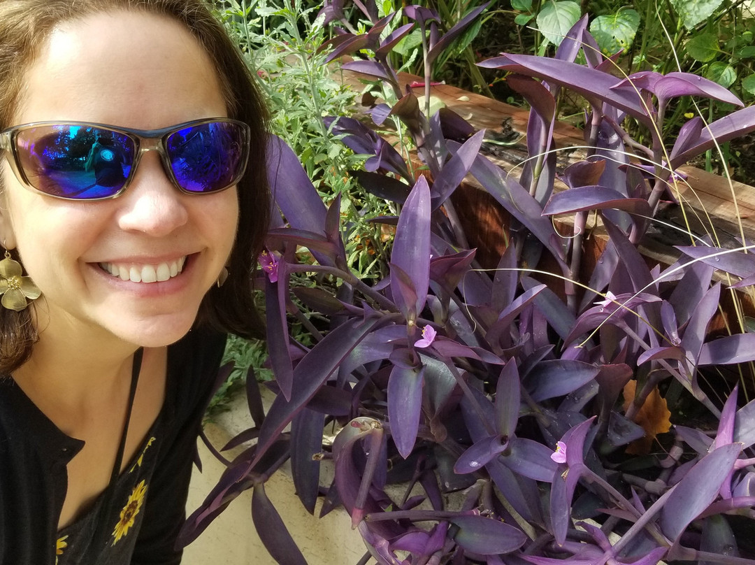 Paseo Victorica-蒂格雷必去景点