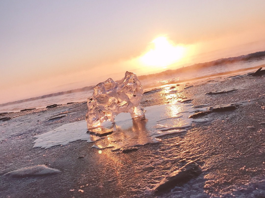 Otsu Fishing Port-丰顷町必去景点