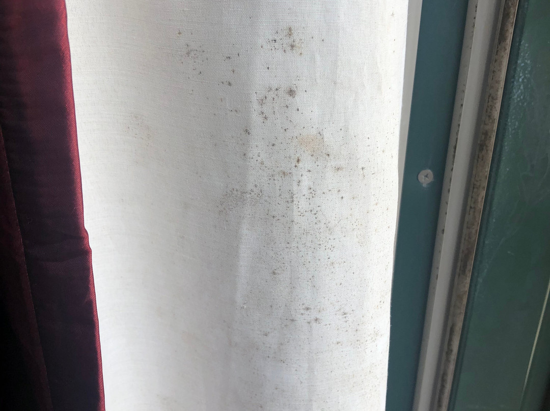 Ocean Inn & Suites主图