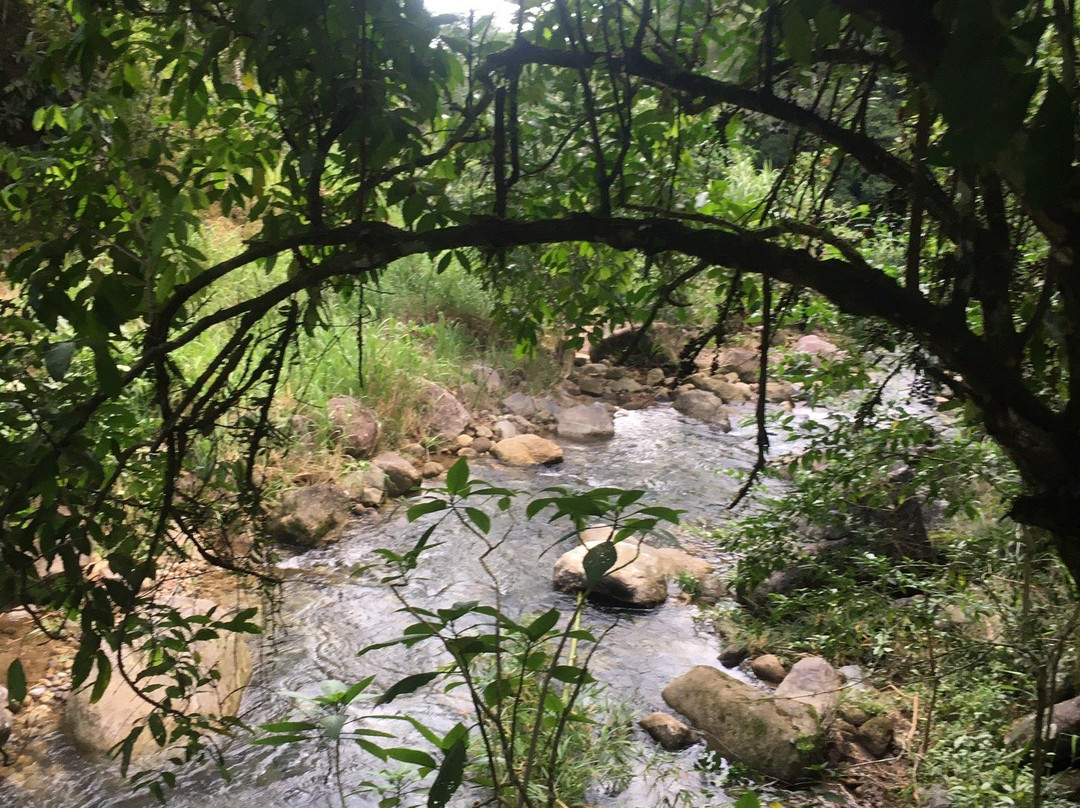 Cachoeira das Andorinhas-Silva Jardim必去景点