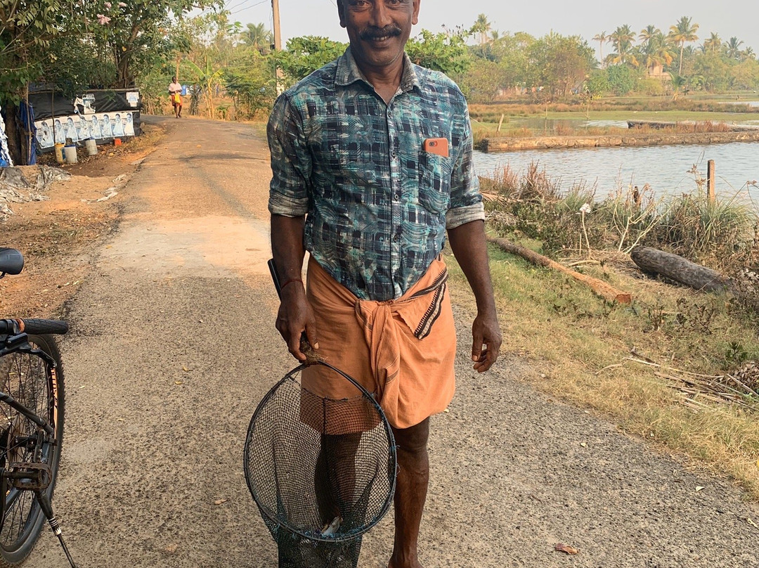 Godwit Adventures - Village Bike tour & Bidwatching-阿拉普扎必去景点