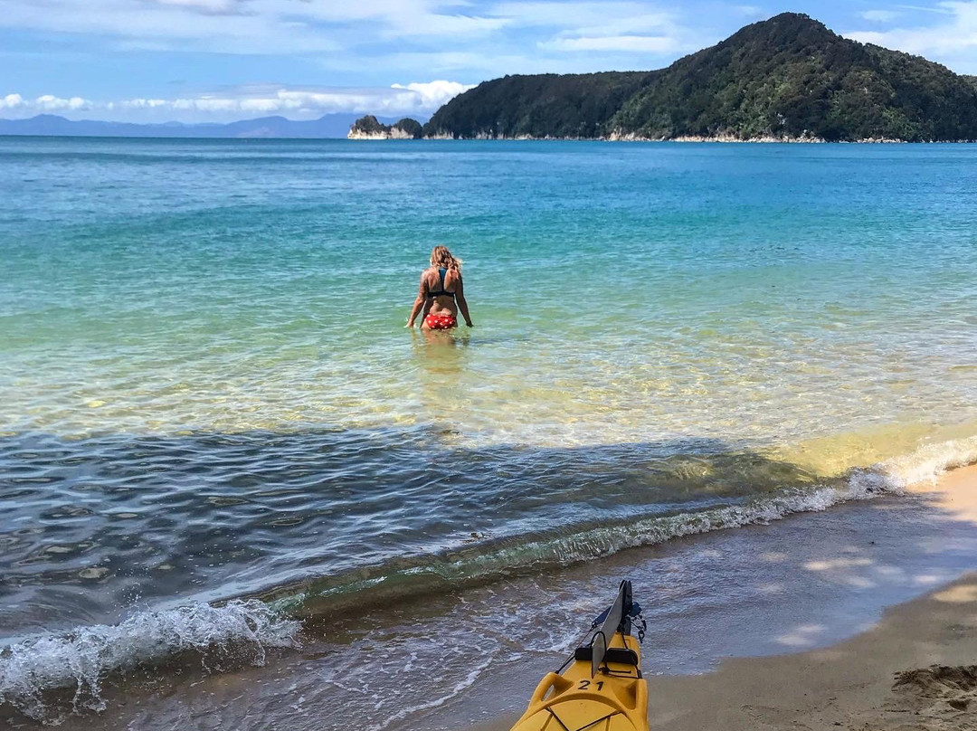 Abel Tasman Independent Guides Sea Kayaking景点图片