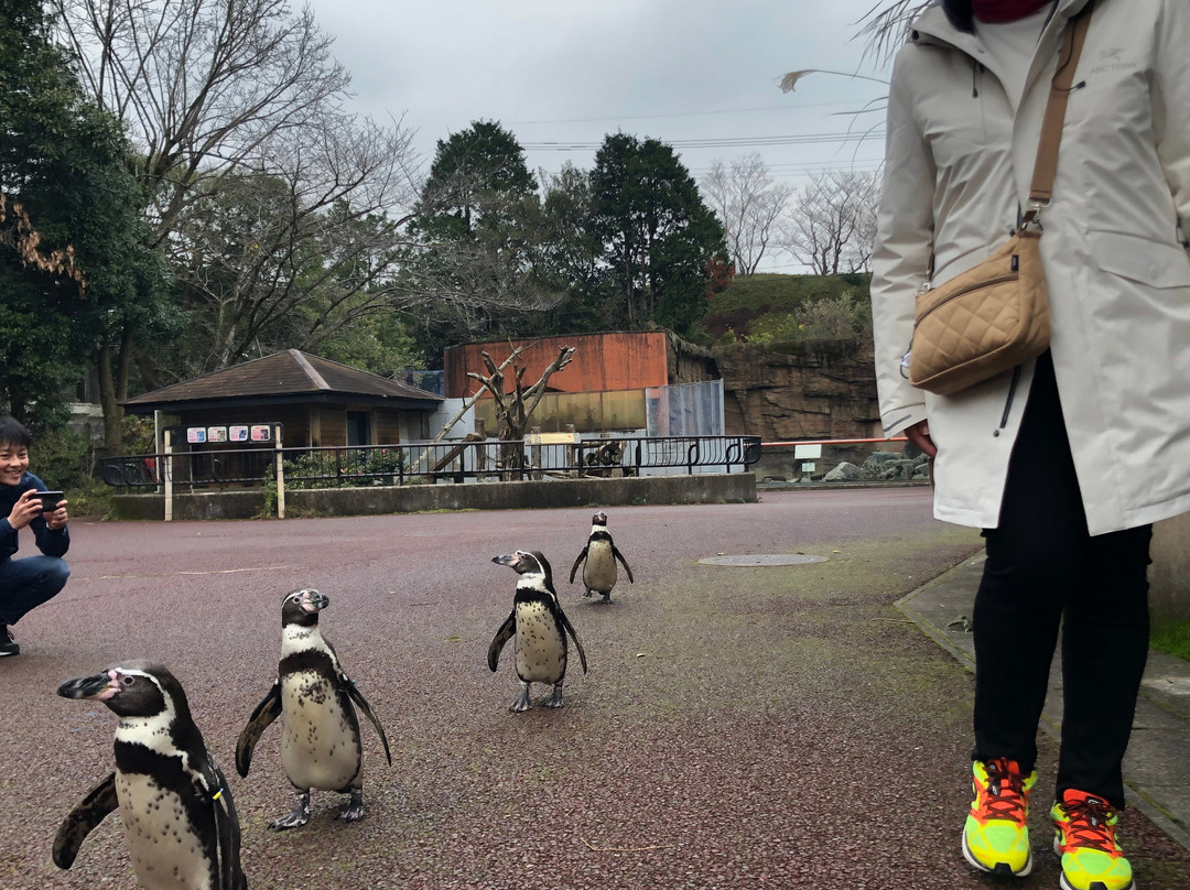 平川动物公园景点图片