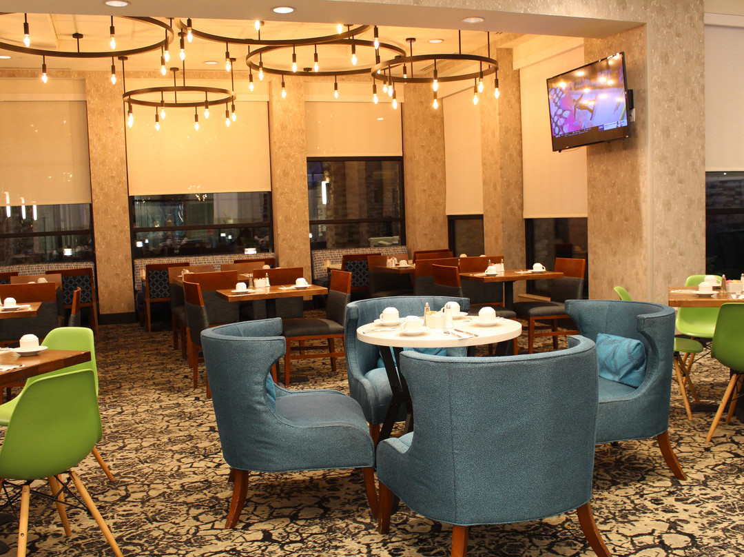 Hilton Garden Inn Dallas/Arlington South主图