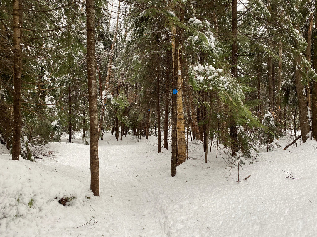 Timber Creek Cross Country Ski Area景点图片
