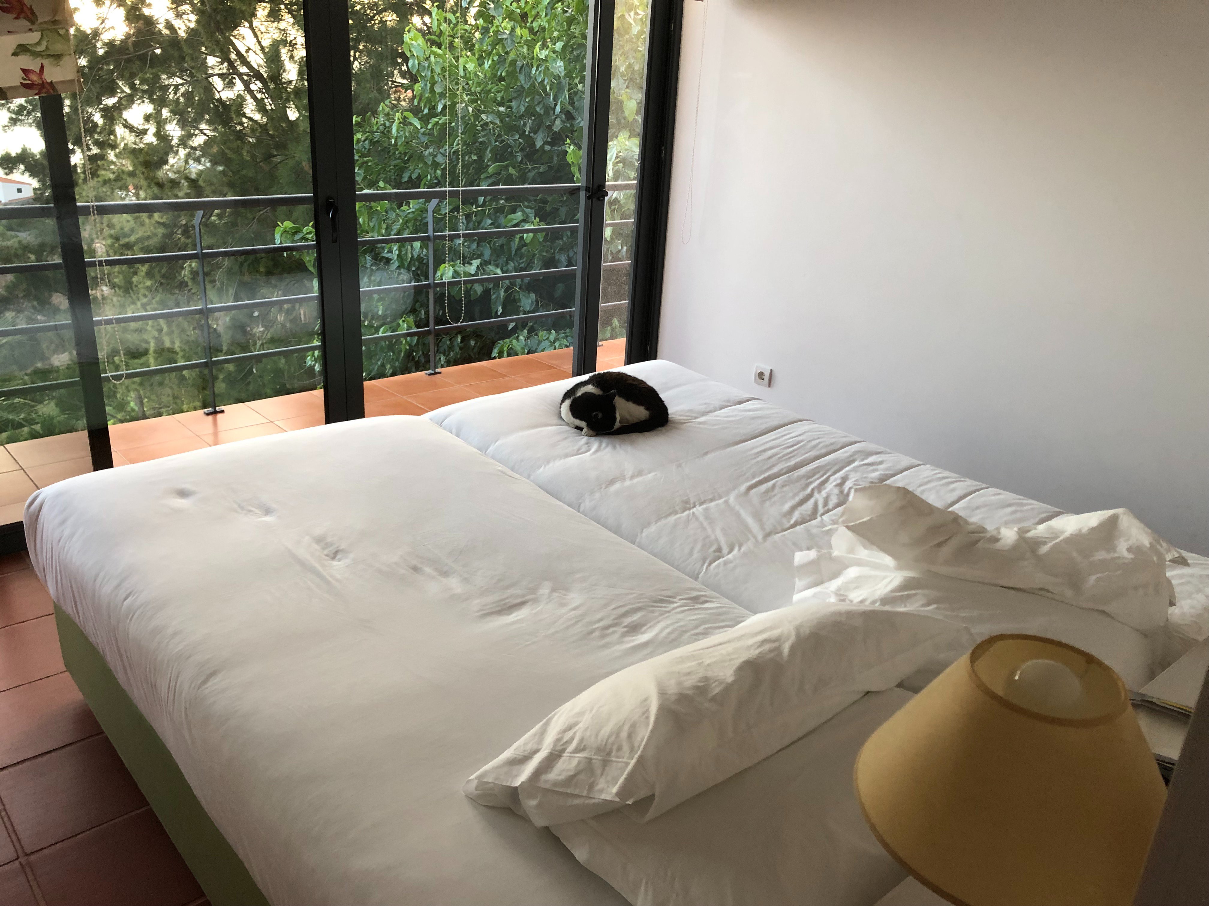 Casa do Papagaio-官方