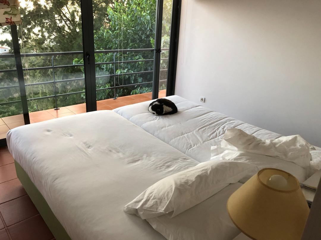 Camara De Lobos酒店住宿-Casa do Papagaio