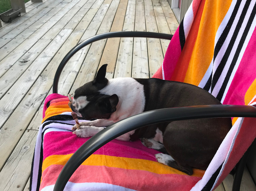 Townliner Motel主图