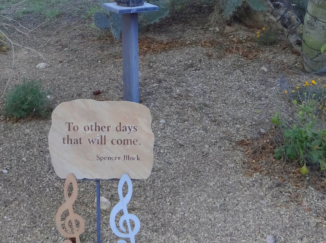 Cat Mountain Lodge & Roadside Inn主图