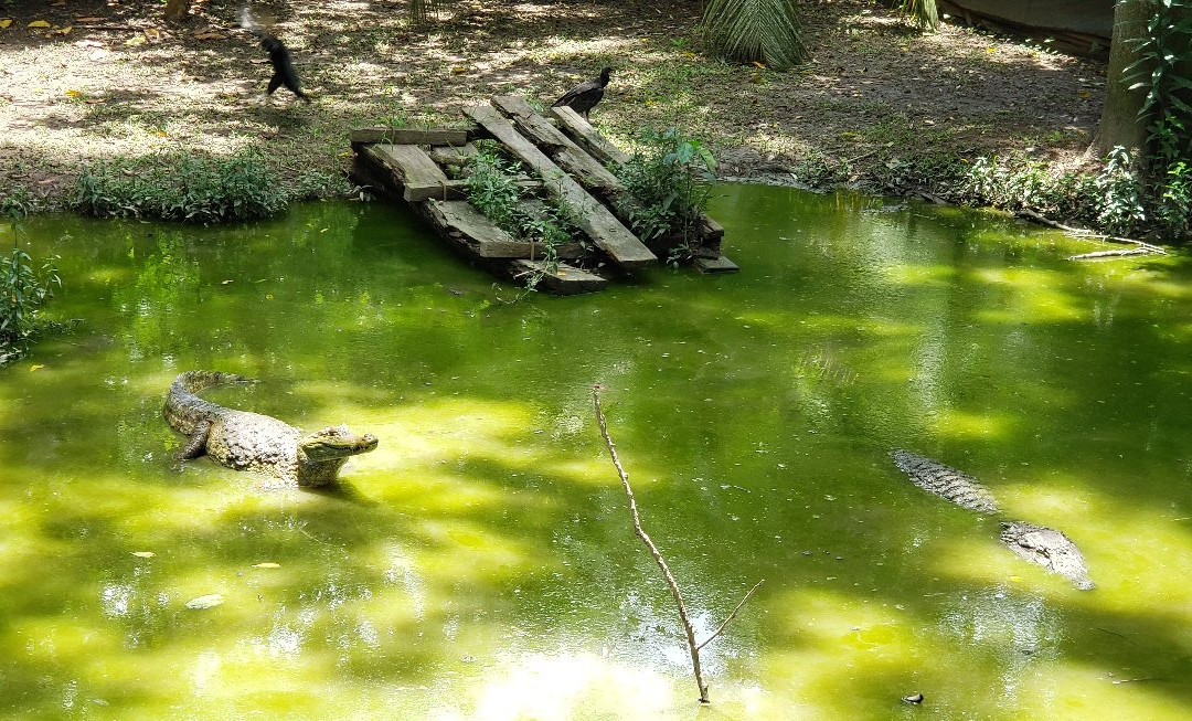 La Jungla Ecolodge-Pucallpa必去景点