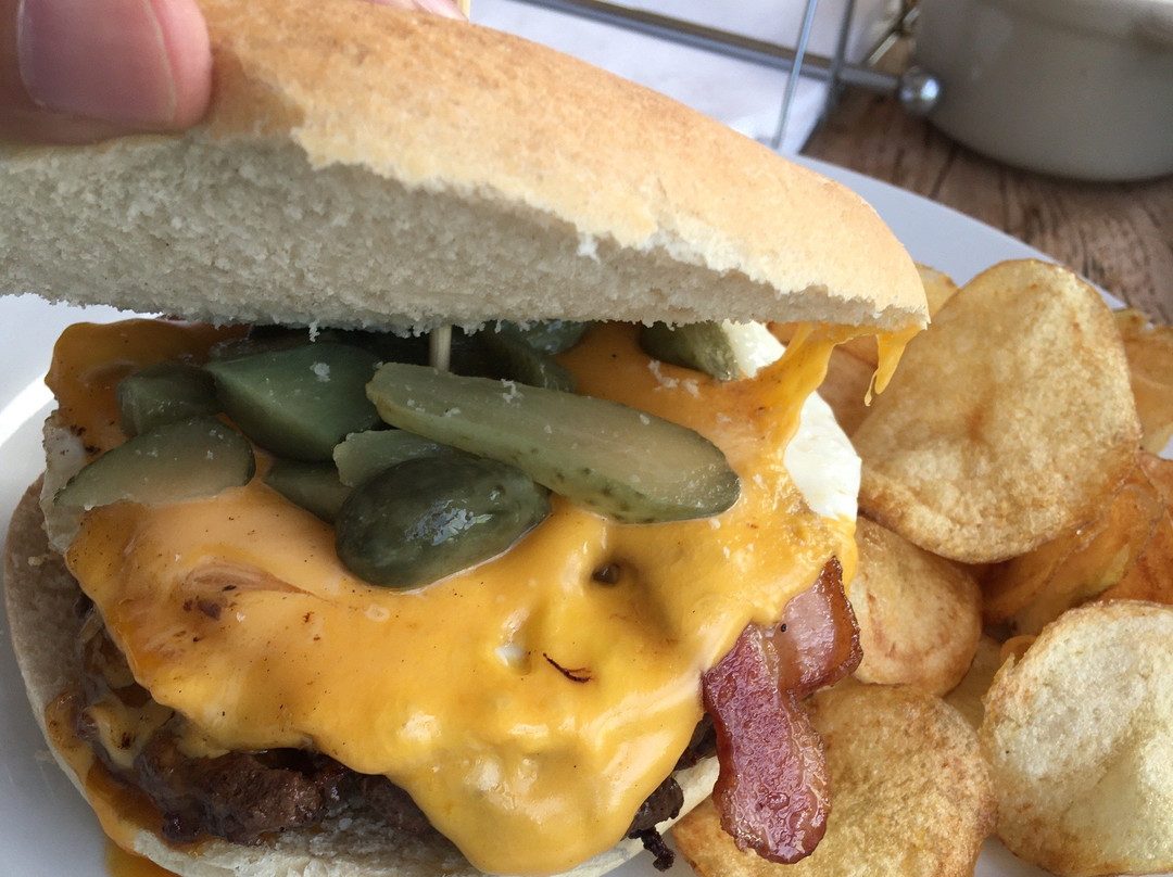 Cerveza Cactus-Vicuna必去景点