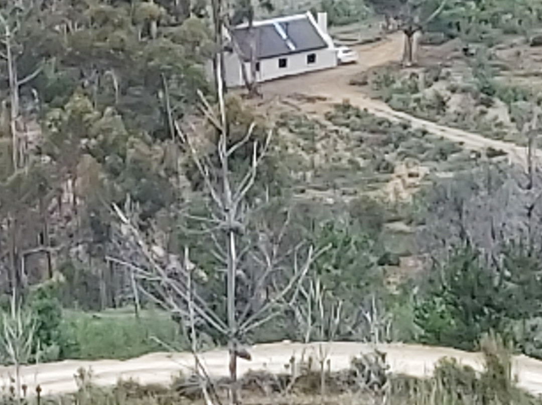 Protea Farm Tractor Trips-蒙提古必去景点