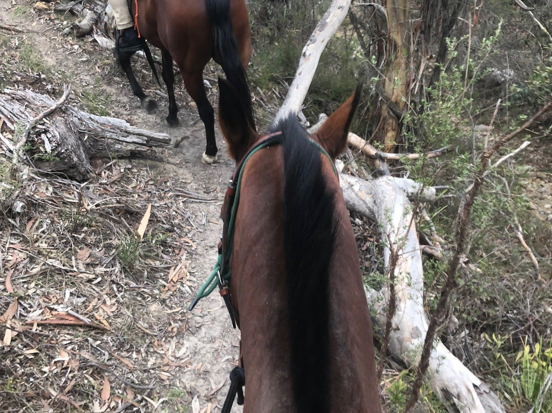 Centennial Glen Stables-布莱克希思必去景点