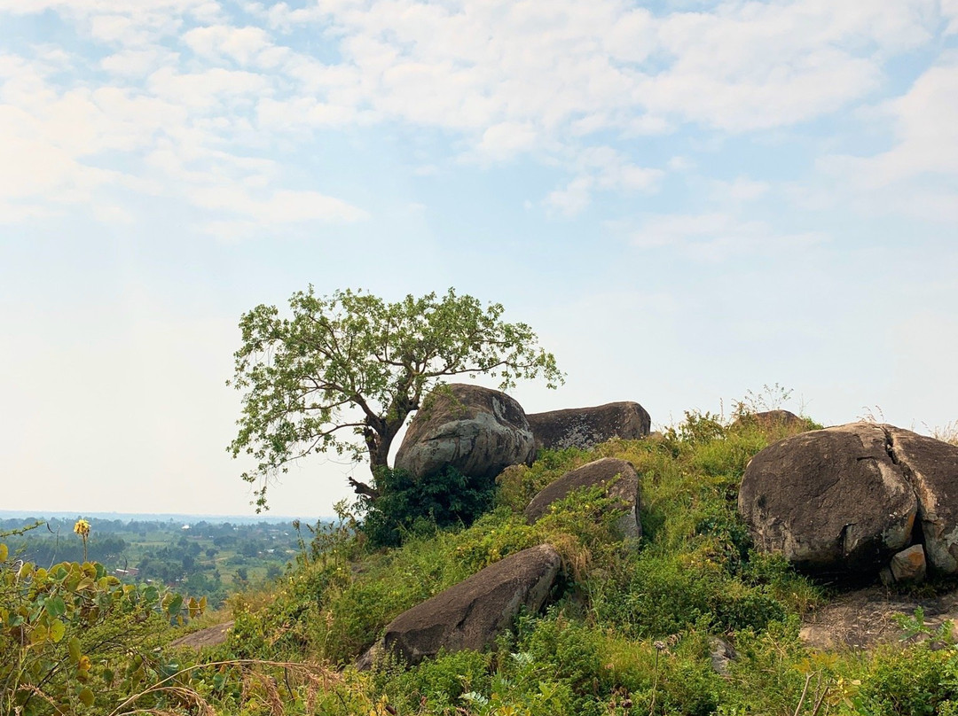 Nyero Rock Paintings景点图片