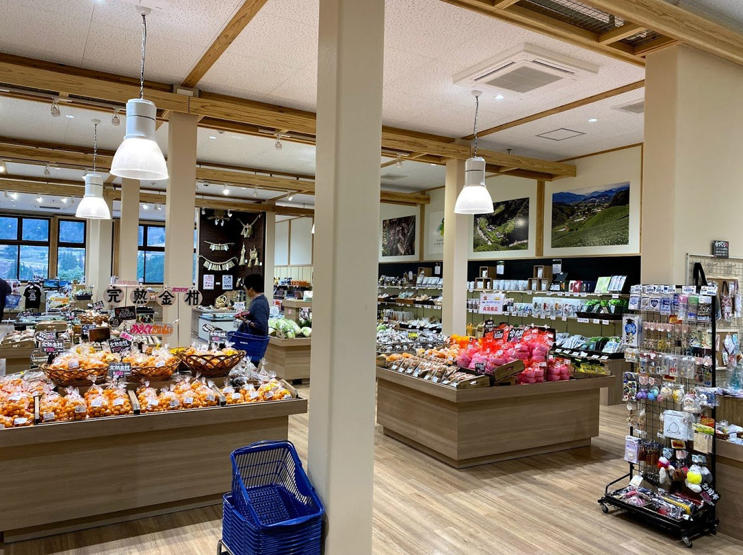 Michi-no-Eki Seiumbashi-日之影町必去景点