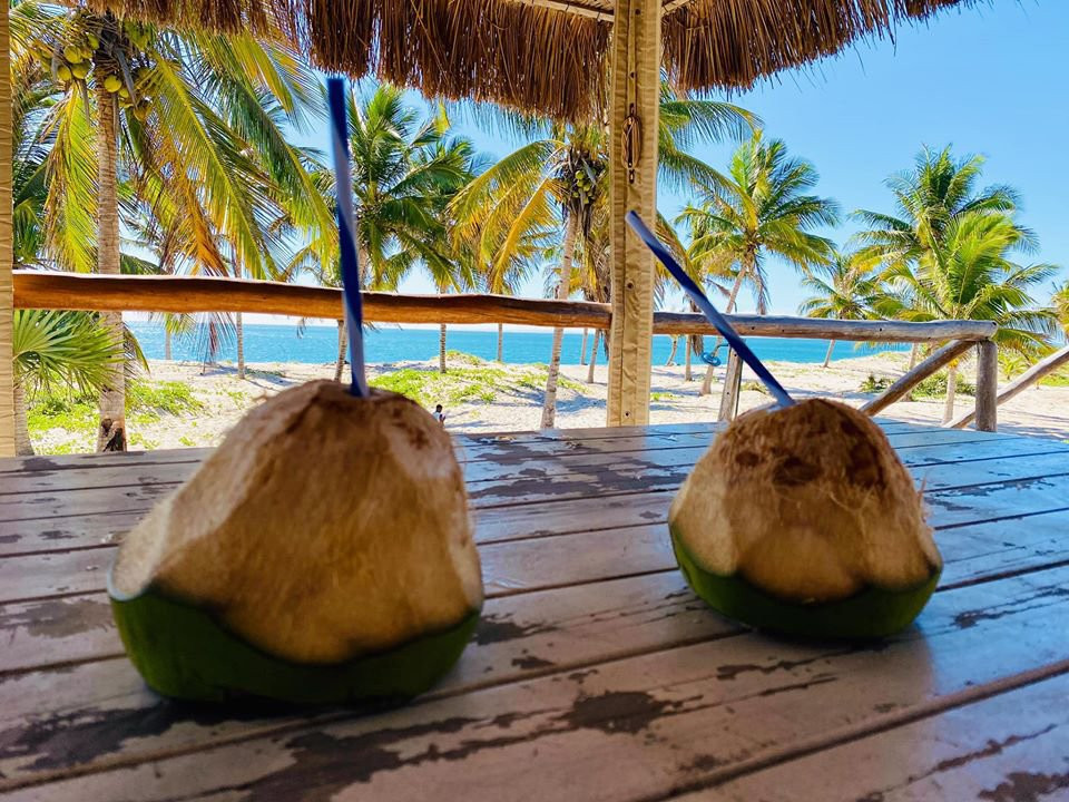 Pura Vida Lodge主图