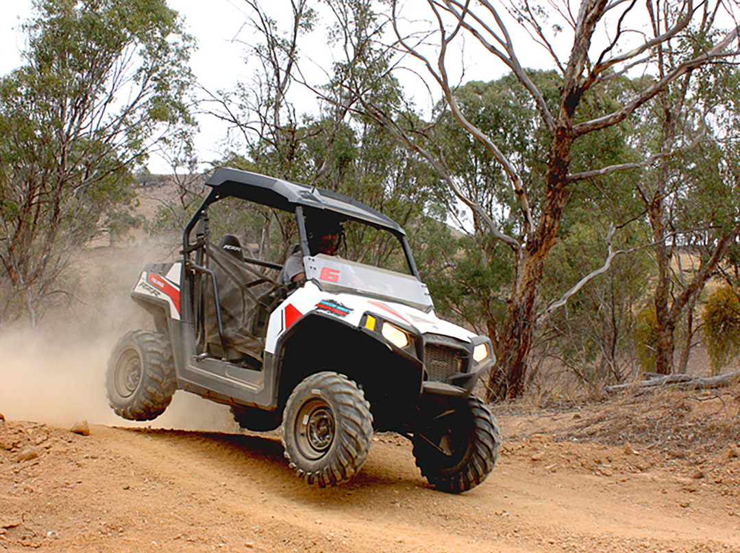 Aussie Buggy Adventures景点图片