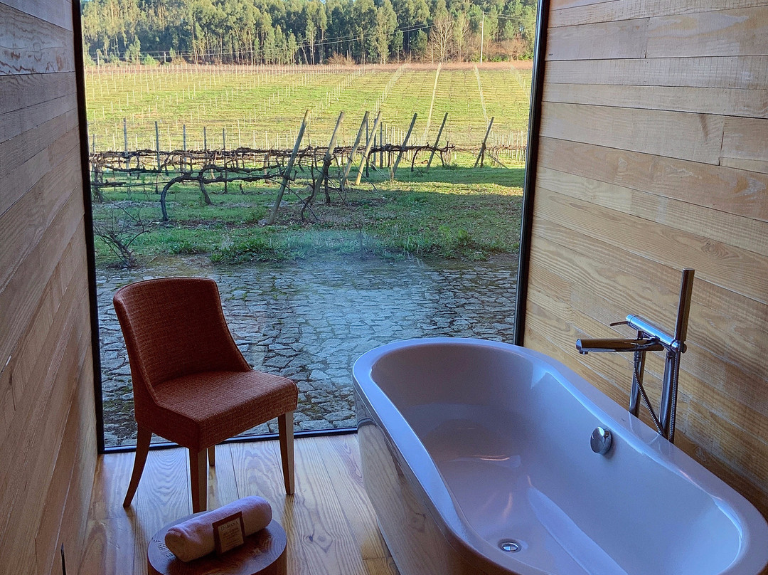 Monverde Wine Experiene Hotel主图