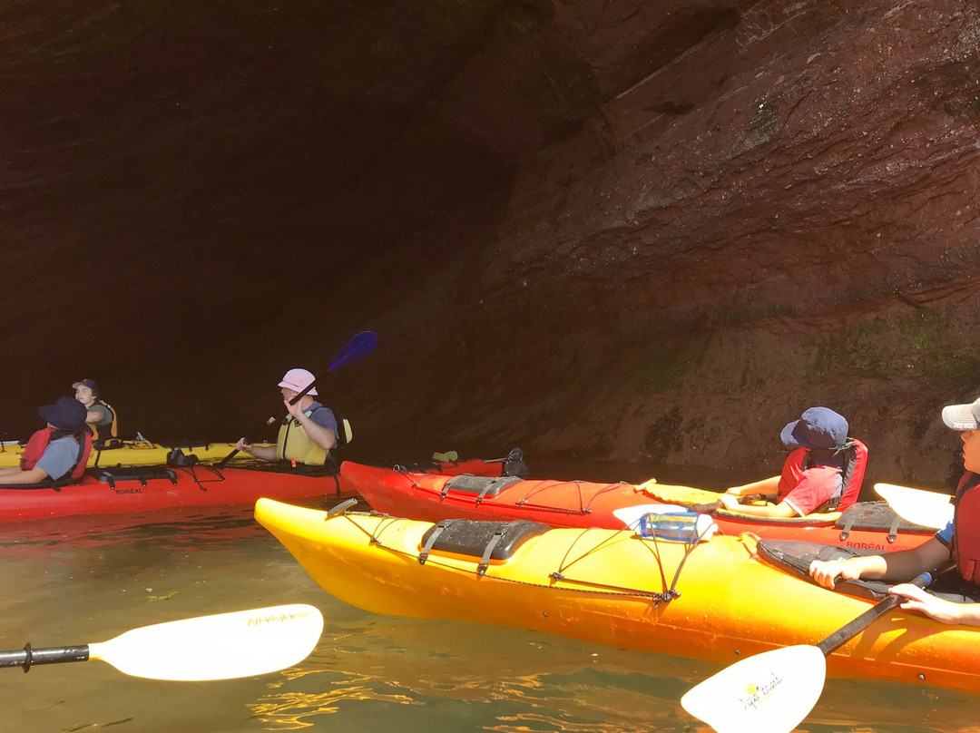 Bay Of Fundy Adventures-St. Martins必去景点