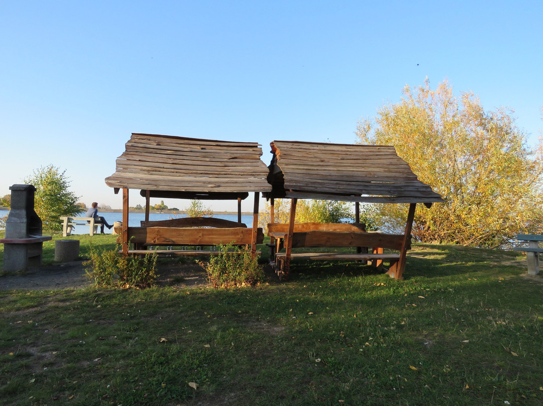Jezioro Bielawskie景点图片