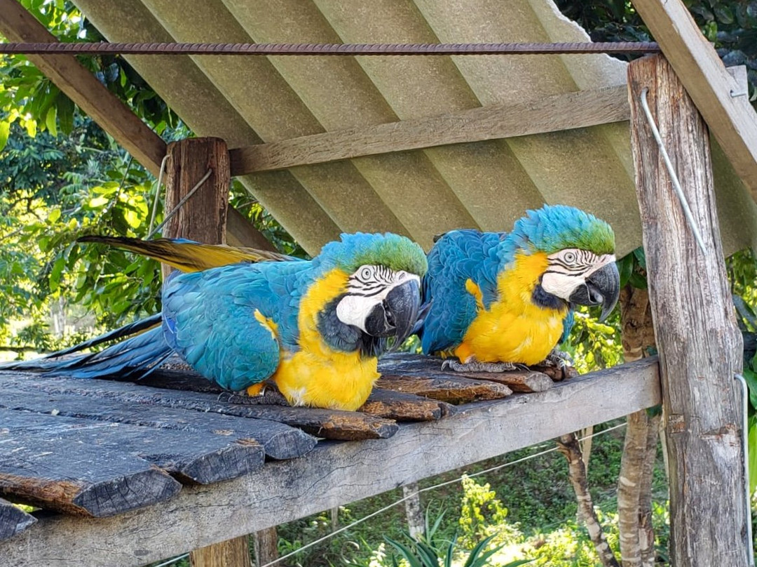 Pousada Alto Da Lapa主图