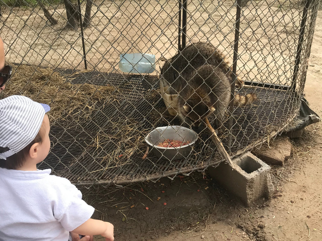Zoologico de Reynosa-Reynosa必去景点