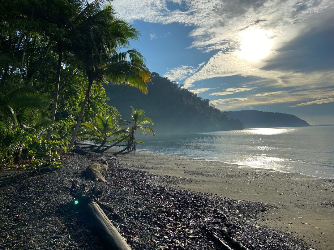 普拉亚尼库伊萨雨林旅馆主图