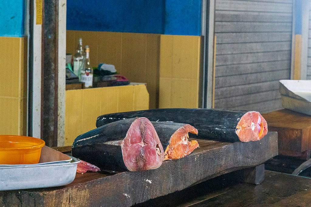 Hikkaduwa Harbour-希克杜沃必去景点