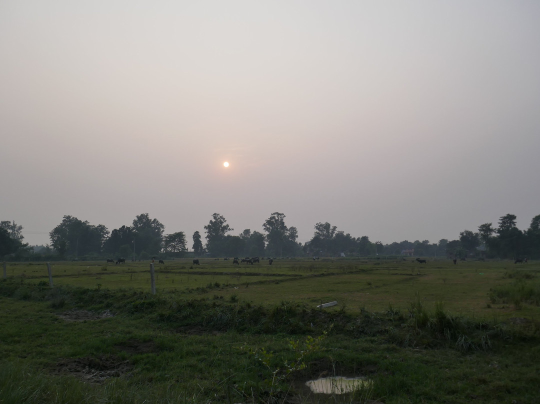 Kapilvastu-蓝毗尼必去景点