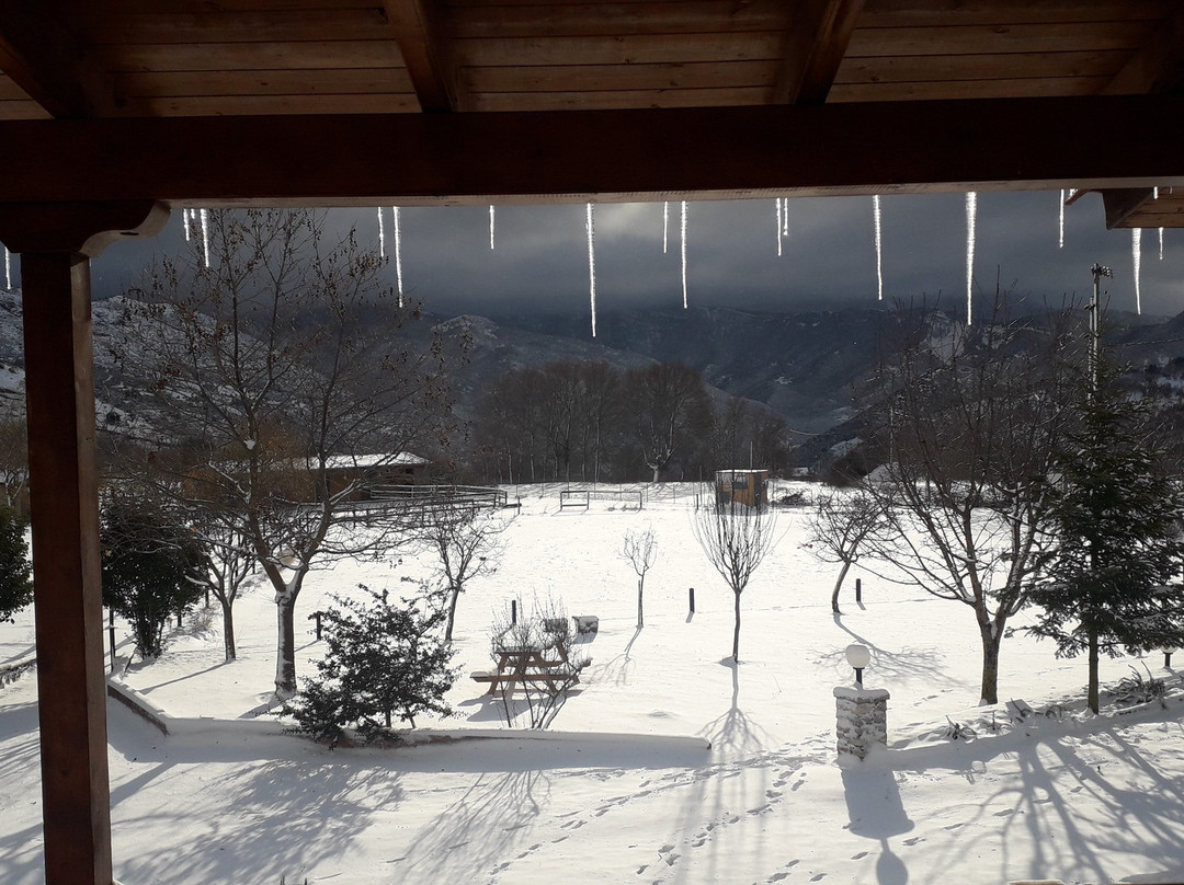 Orias Guesthouse & Farm主图