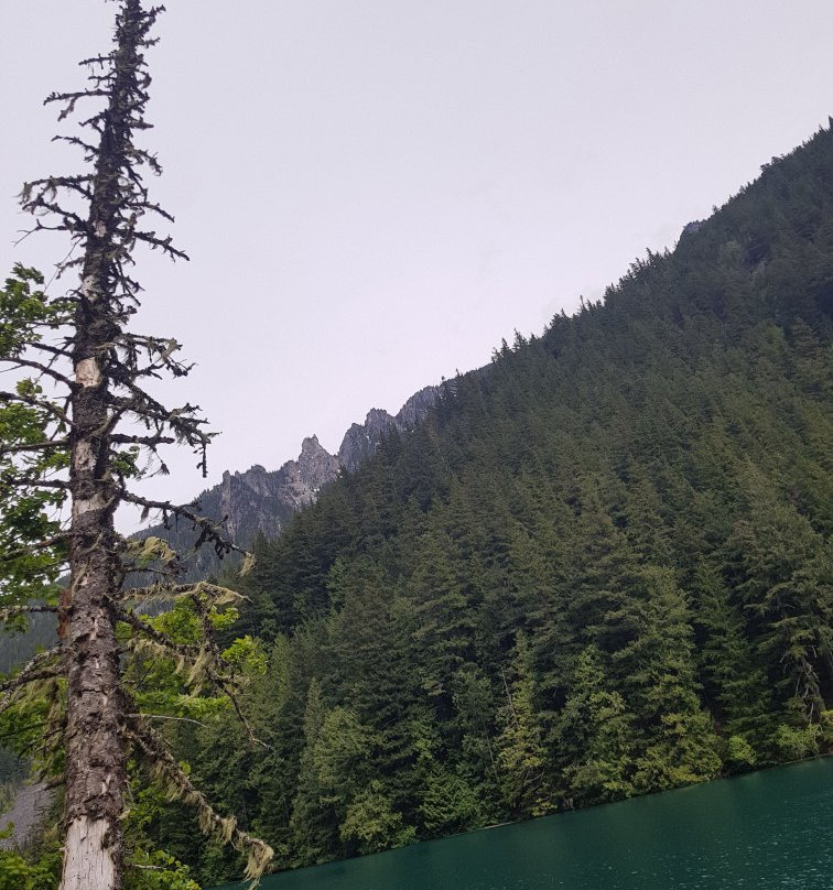 Lindeman Lake景点图片