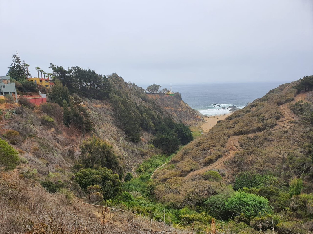 Playa Mirasol景点图片