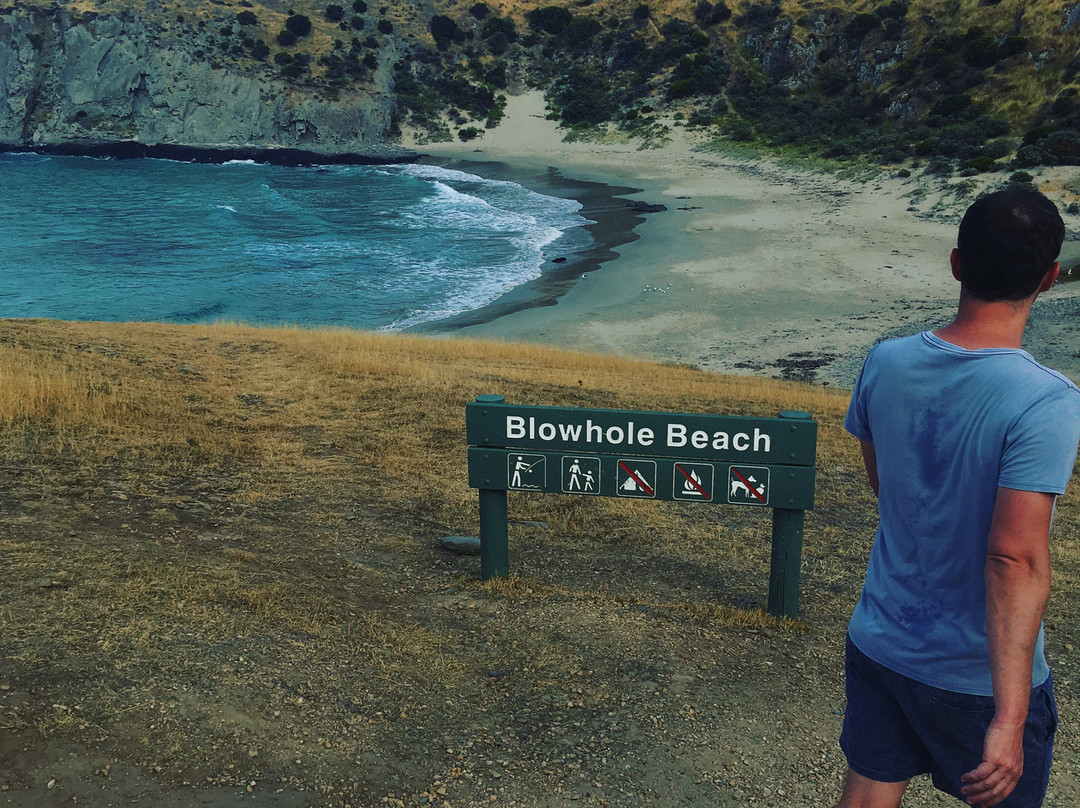 Southern Ocean Retreats主图