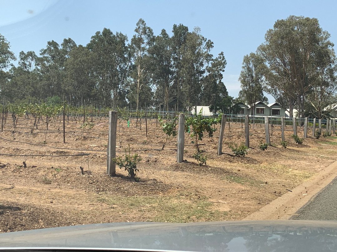 斯派瑟葡萄庄园酒店主图