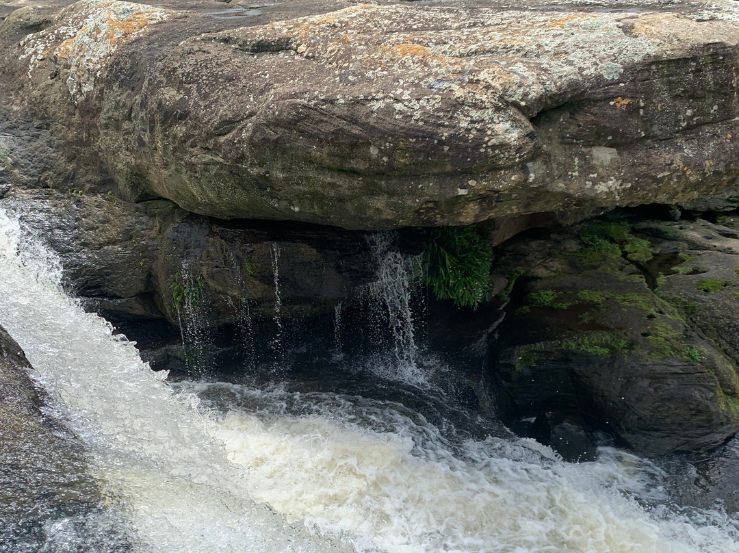 Karkloof Conservation Centre景点图片