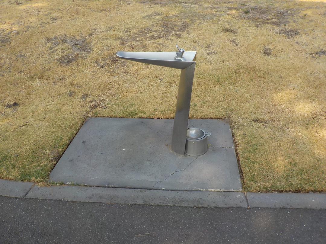 Newmarket Reserve-墨尔本必去景点