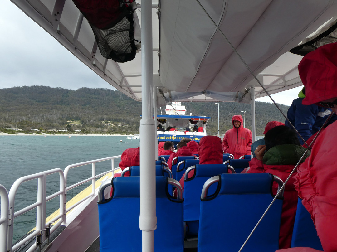 Cruise Ship Excursions & Tours景点图片