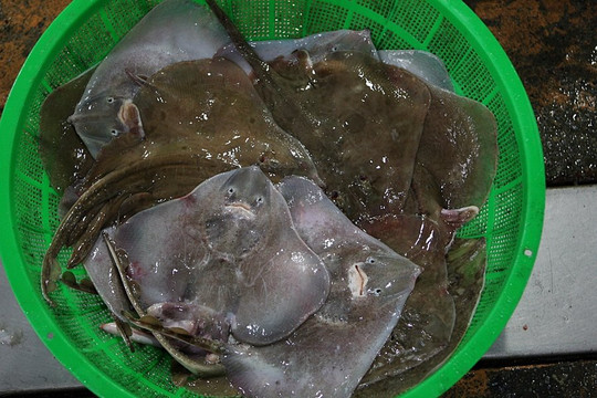 Suhyup Susanmul Center