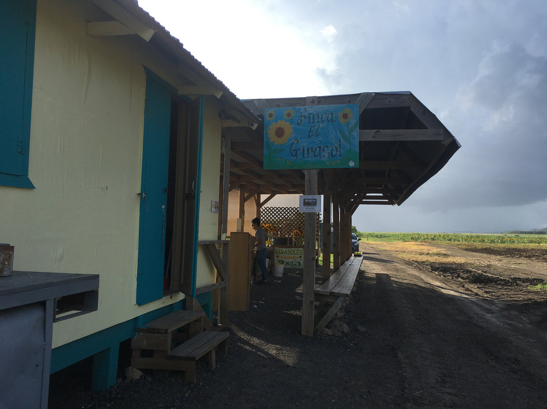 Finca El Girasol-Guanica必去景点