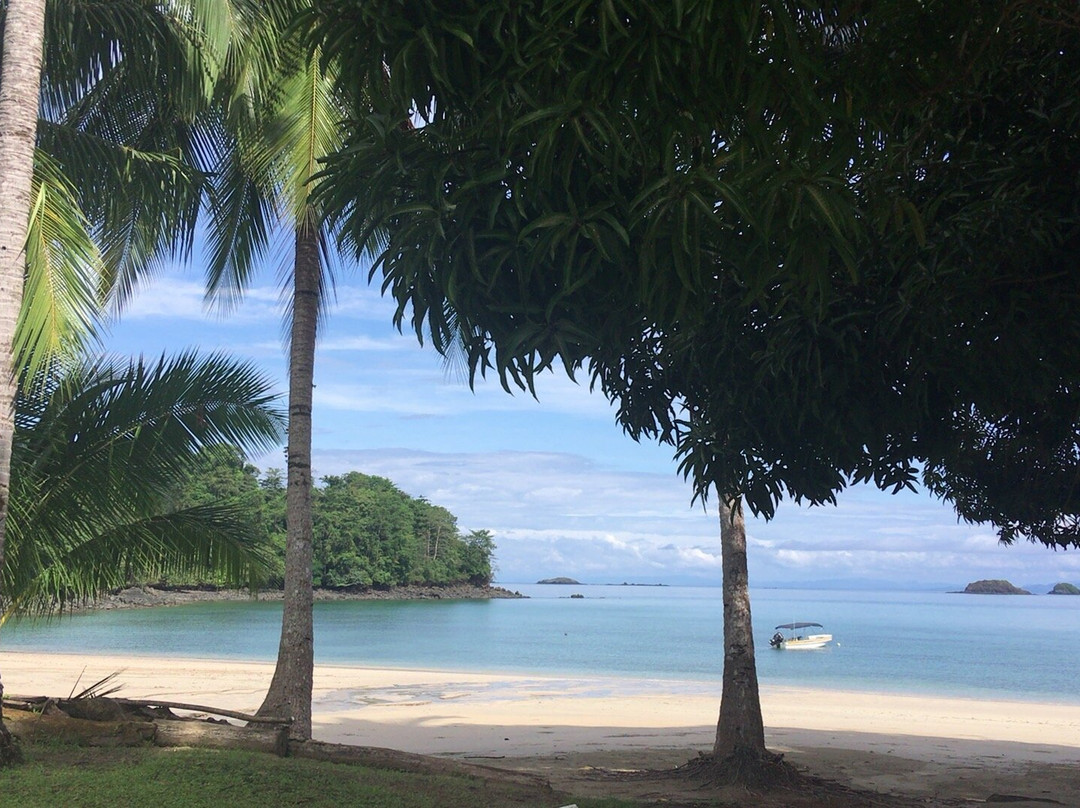 Panama Ocean Tours and Water Sports景点图片