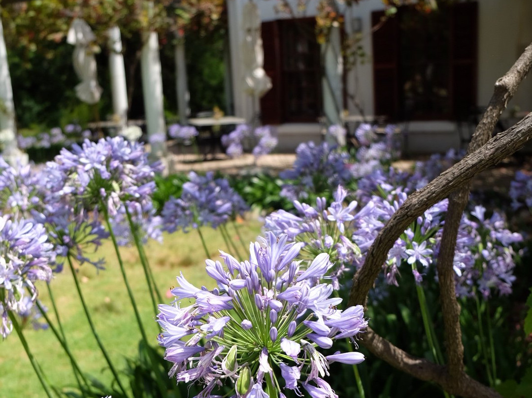 Rozendal Guest Farm主图