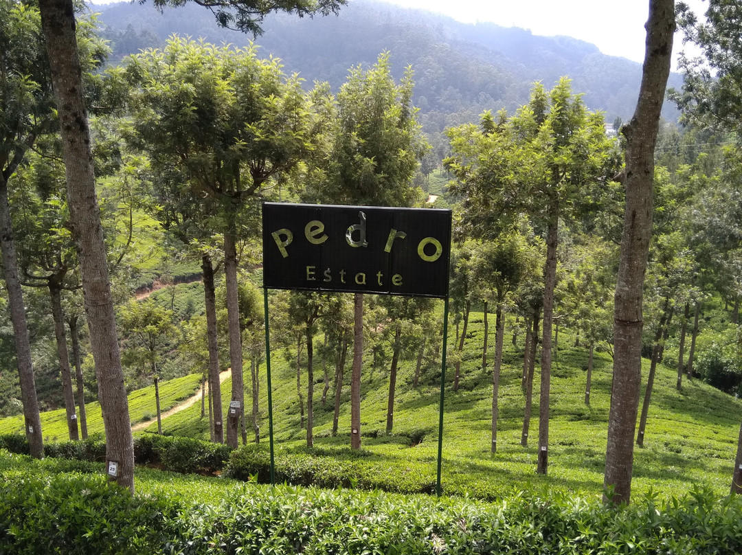 Visit Nuwara Eliya-奴娃拉伊利雅必去景点